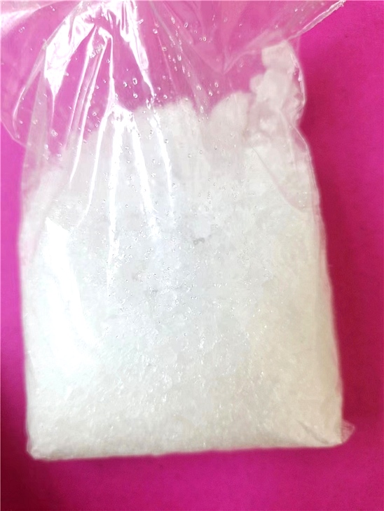 午夜成人电影在线观看镓