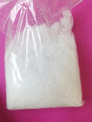 午夜成人电影在线观看镓